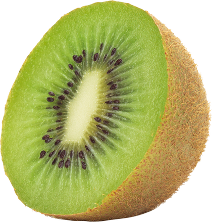 Slice of Kiwi