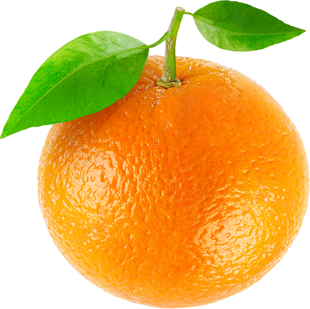 Fresh Orange